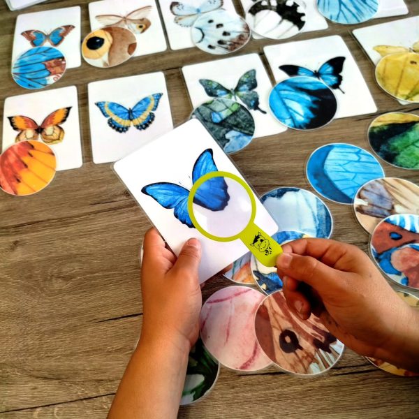 Enfant concentré en train de jouer à Zoom Papillon, jeu éducatif de concentration dès 4 ans.