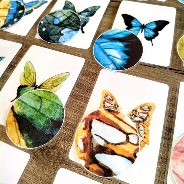 Carte zoomée d’aile de papillon et cartes papillons complètes, jeu de logique visuelle pour enfants.