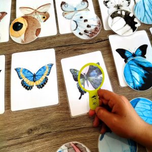 Jeu Zoom Papillon pour enfants, avec cartes d’ailes et papillons complets, activité ludique d’observation.