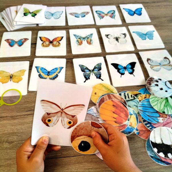 Jeu Zoom Papillon étalé sur une table, cartes colorées visibles, matériel éducatif pour enfants.