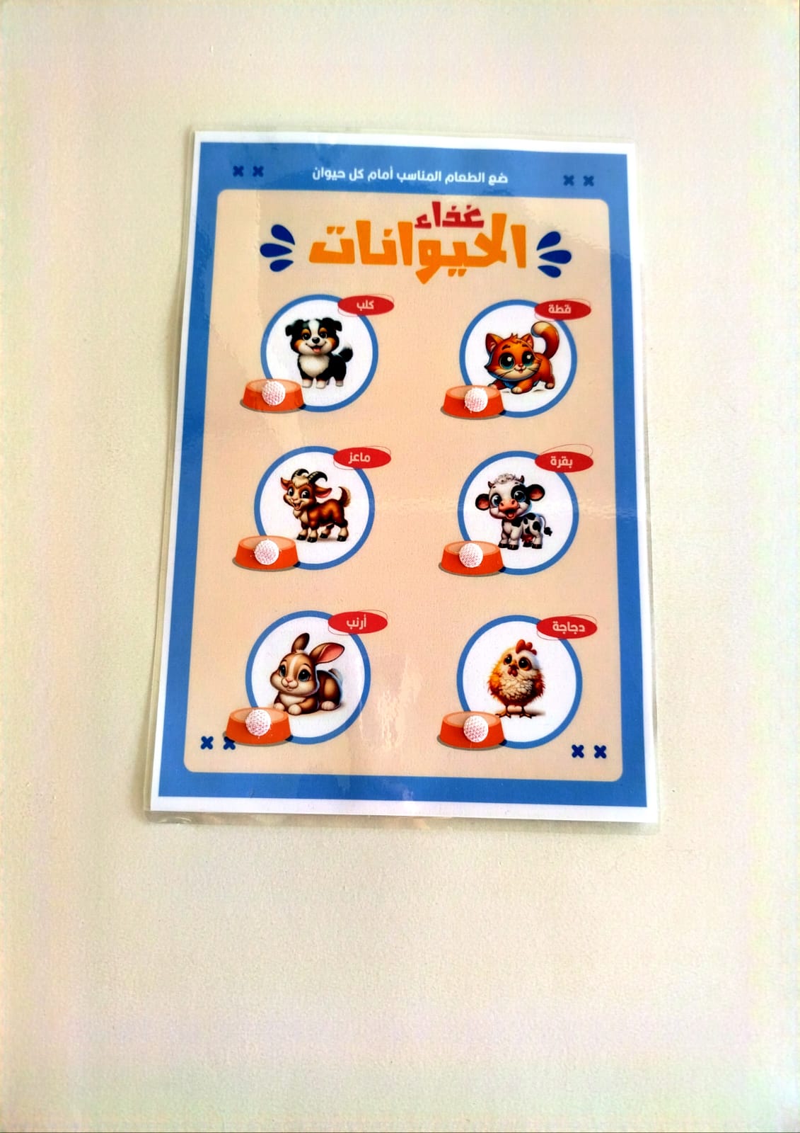 nourriture des animaux nourriture des animaux