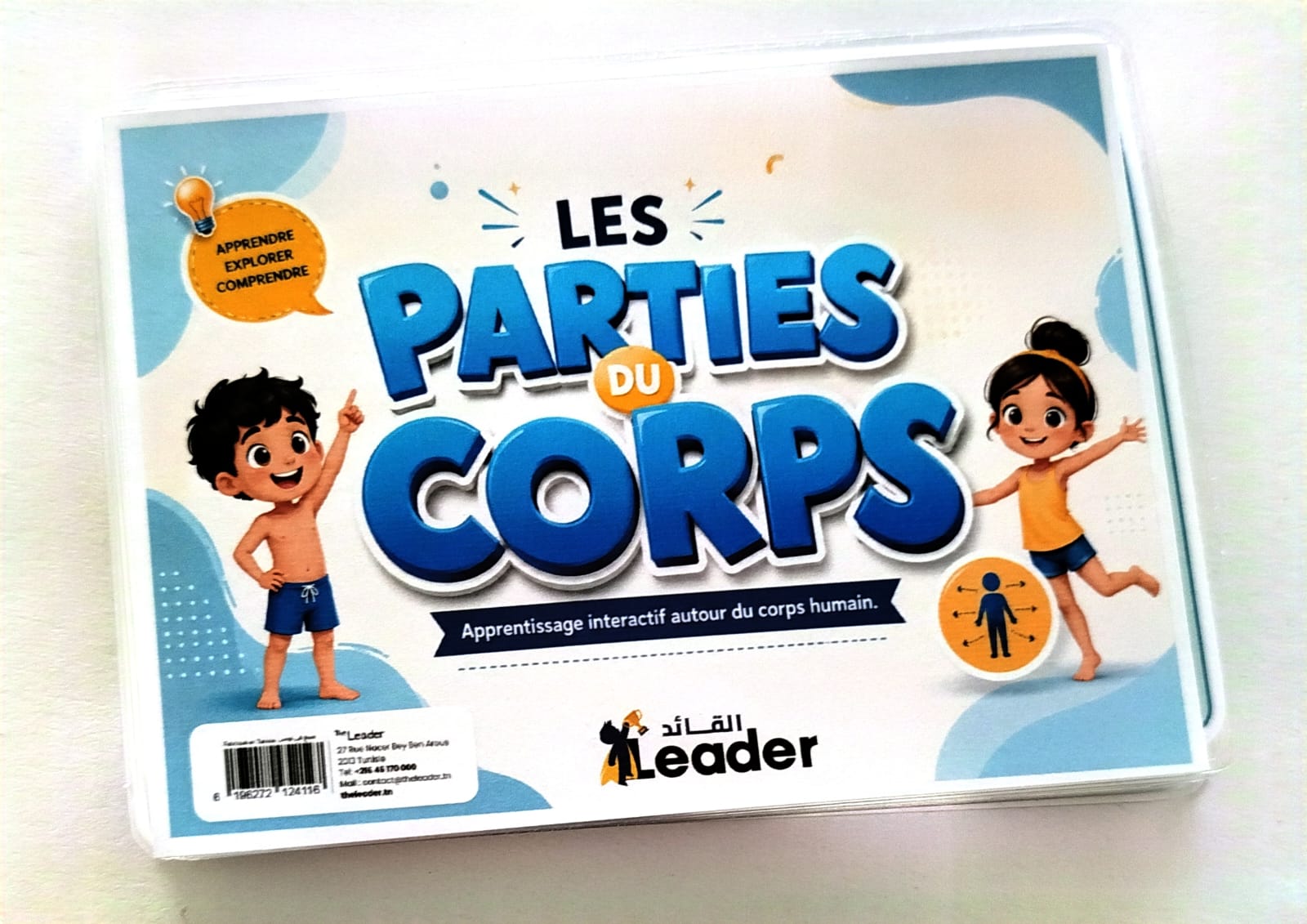 les parties du corps les parties du corps
