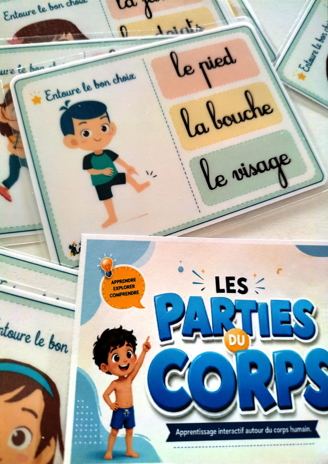 les parties du corps les parties du corps